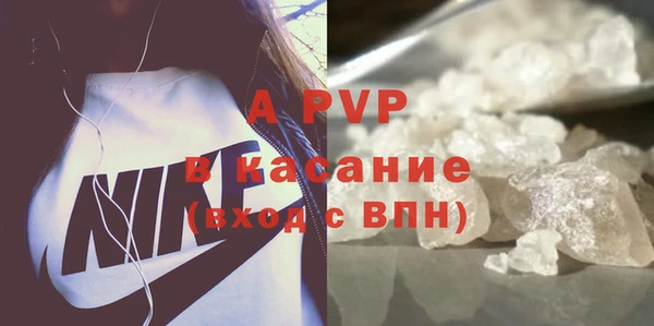 индика Бородино