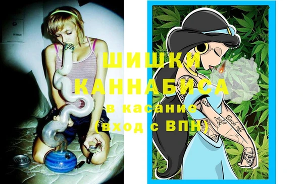прущие грибы Пестово