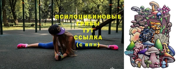 гидропоника Белокуриха